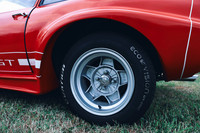 NOEL2429