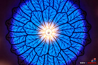 DSCF4922