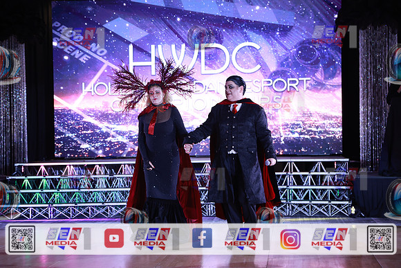 HWDS2401