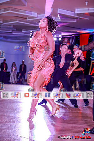 0088_HWDS8334