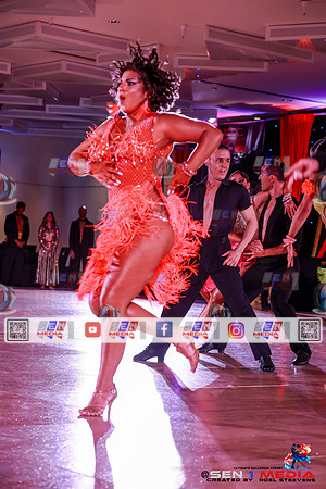 0089_HWDS8335