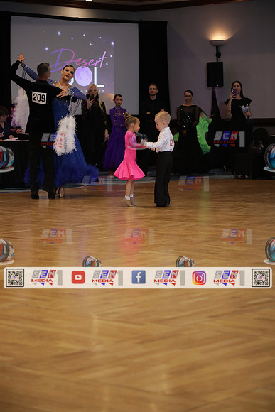 0133_DSOL1069