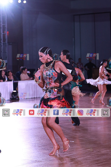 0028_DCDR8446