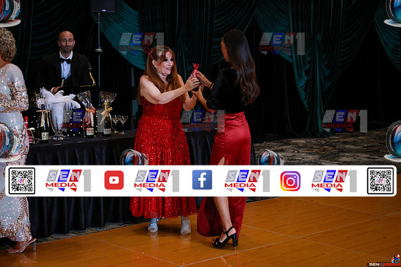 0162_DCDN6515