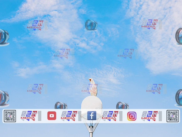 SENR1358_1