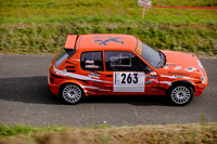 NOEL3627