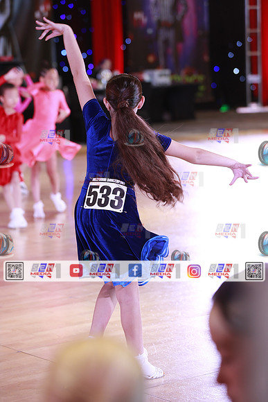 _WDC8833