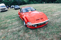 NOEL2435