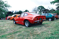 NOEL2428