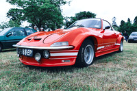 NOEL2431